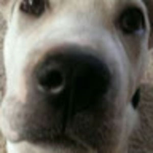 Meet your Posher, Sheila